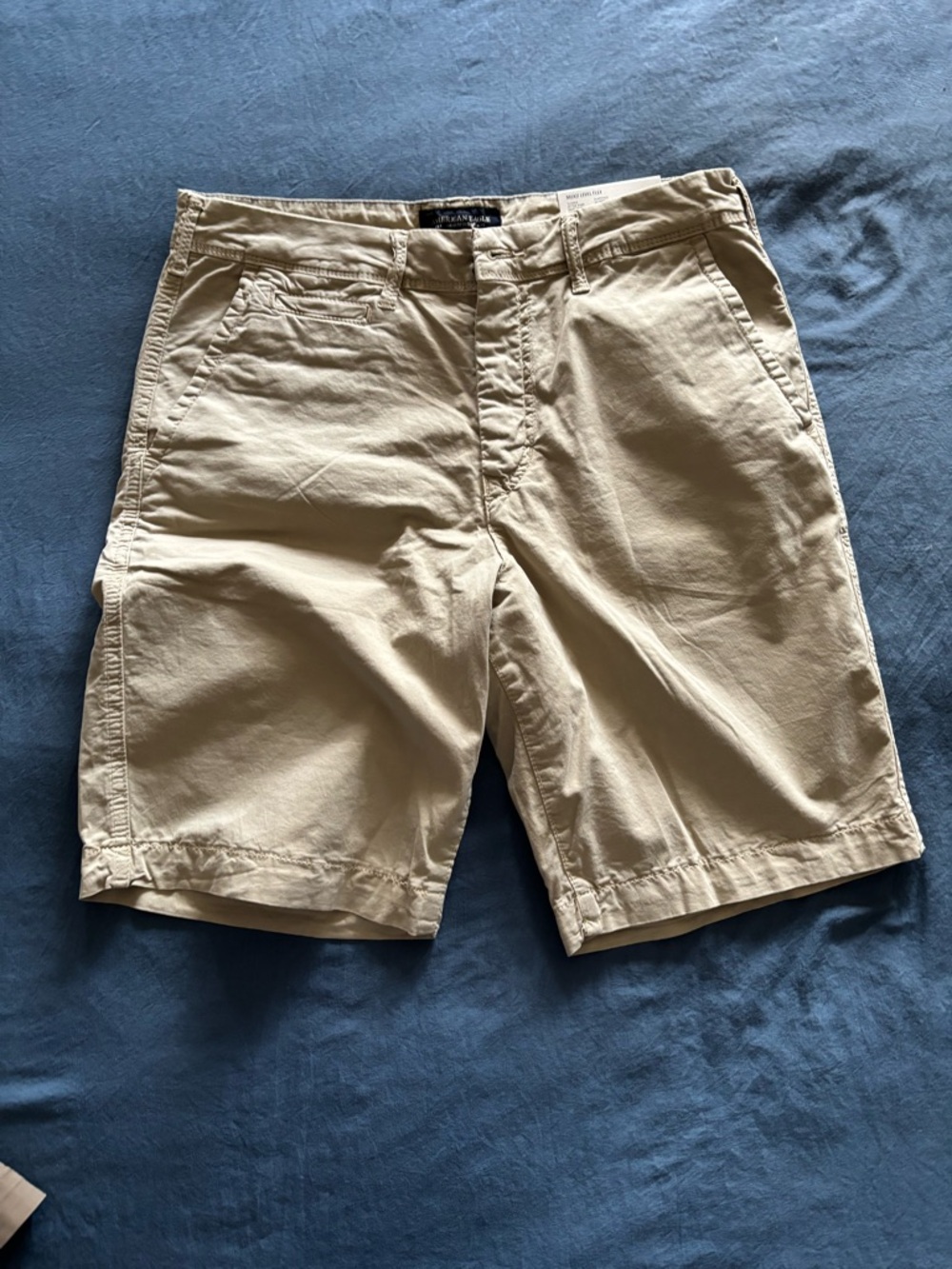 American Eagle Outfitters Beige Flat Front Cotton Shorts